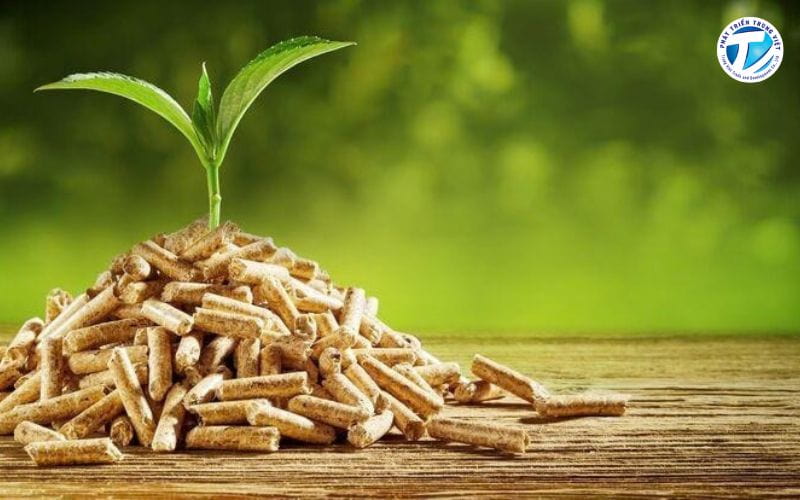 Sử dụng sinh khối bền vững có thể góp phần giảm phát thải khí nhà kính.